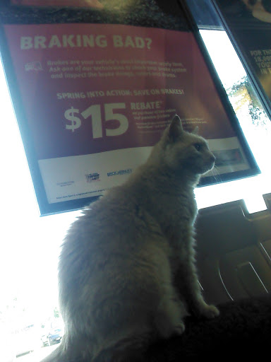 Auto Repair Shop «Starbrite Express Lube & Automotive Repair», reviews and photos, 721 PA-113, Souderton, PA 18964, USA