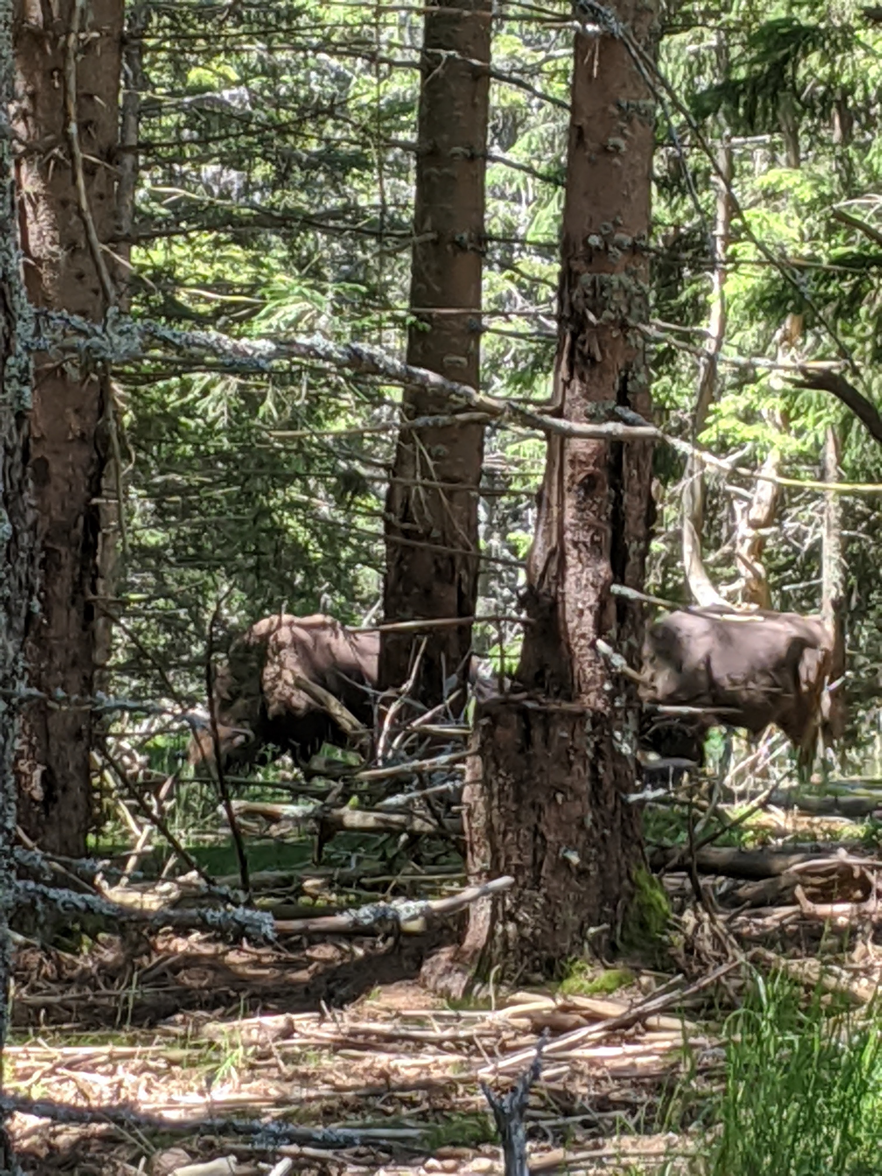 Photo n° 1 de l'avis de celia.a fait le 27/06/2020 à 06:56