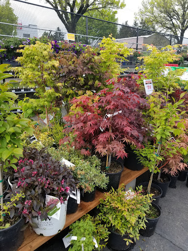 Hardware Store «Parkrose Hardware», reviews and photos, 10625 NE Sandy Blvd, Portland, OR 97220, USA