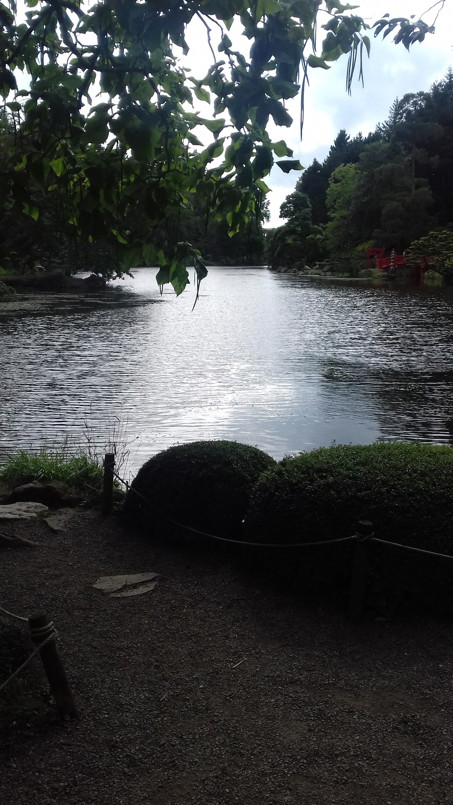 Photo n° 1 de l'avis de Ouafa.e fait le 29/07/2017 à 16:30