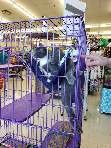 Pet Supply Store «Pet Supplies Plus», reviews and photos, 1258 Northlake Blvd, Lake Park, FL 33403, USA