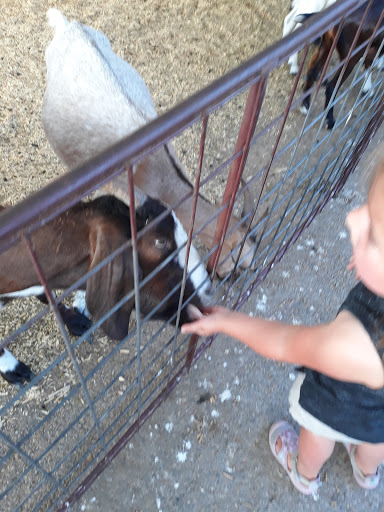 Zoo «Petting Zoo», reviews and photos, 829 E Exchange Ave, Fort Worth, TX 76164, USA