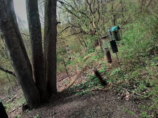 Nature Preserve «DeGraaf Nature Center», reviews and photos, 600 Graafschap Rd, Holland, MI 49423, USA