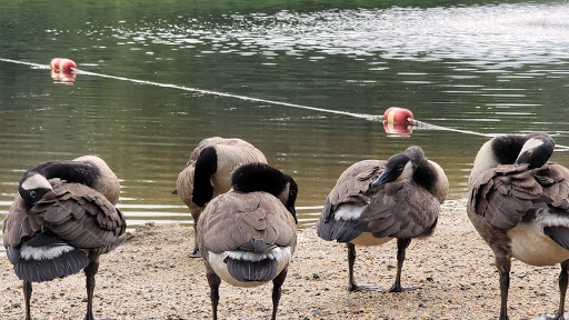 Nature Preserve «Wolf Rock Nature Preserve», reviews and photos, 251 Clover Mill Rd, Storrs, CT 06268, USA