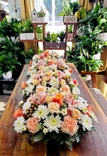 Florist «Bixby Knolls Flowers», reviews and photos, 3901 Long Beach Blvd, Long Beach, CA 90807, USA