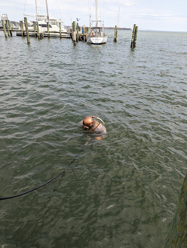 Art Museum «Annapolis Maritime Museum», reviews and photos, 723 2nd St, Annapolis, MD 21403, USA