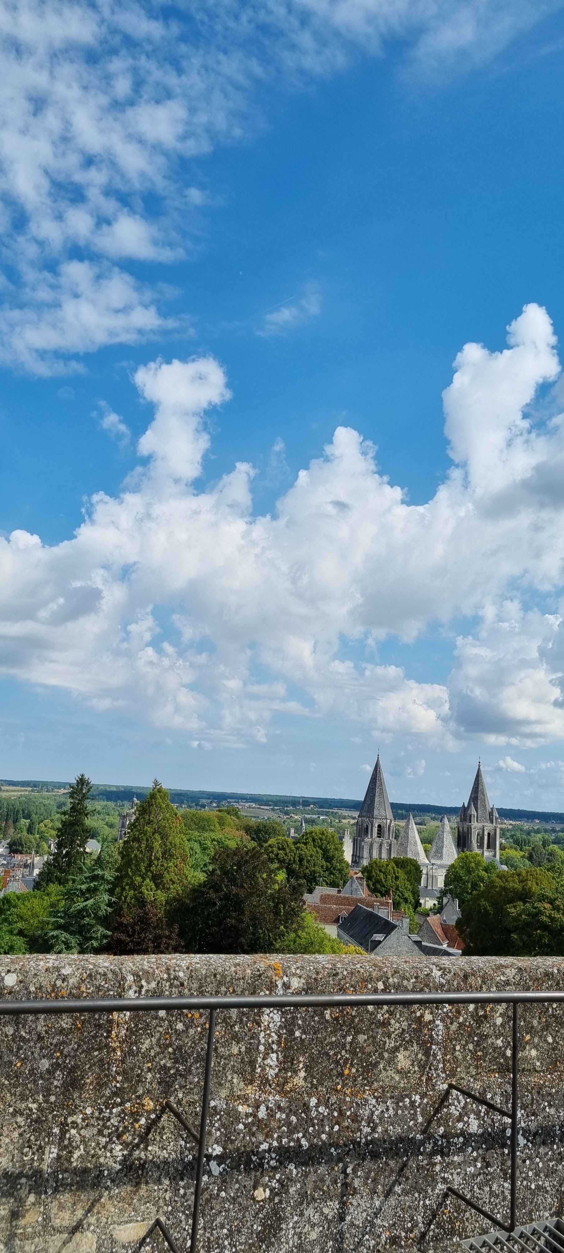 Photo n° 2 de l'avis de Kamilia.a fait le 28/08/2022 à 04:32