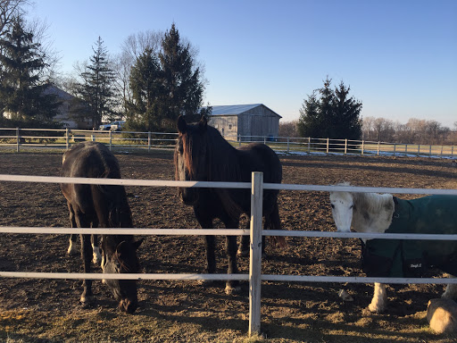 Sheridan Stables & Riding School