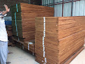 Ravi Dutt Radhey Shyam Timber & Plywood Traders