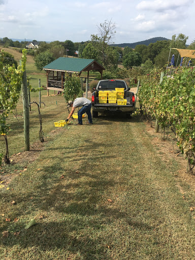 Winery «Third Hill Winery @ DeMello Vineyards», reviews and photos, 2110 Quicksburg Rd, Quicksburg, VA 22847, USA