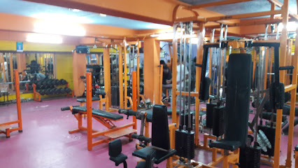 Professional Fitness Centre - 198, South Rd, Austin Town, Neelasandra, Bengaluru, Karnataka 560047, India
