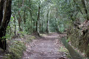 Levada da Serra do Faial - Camacha image