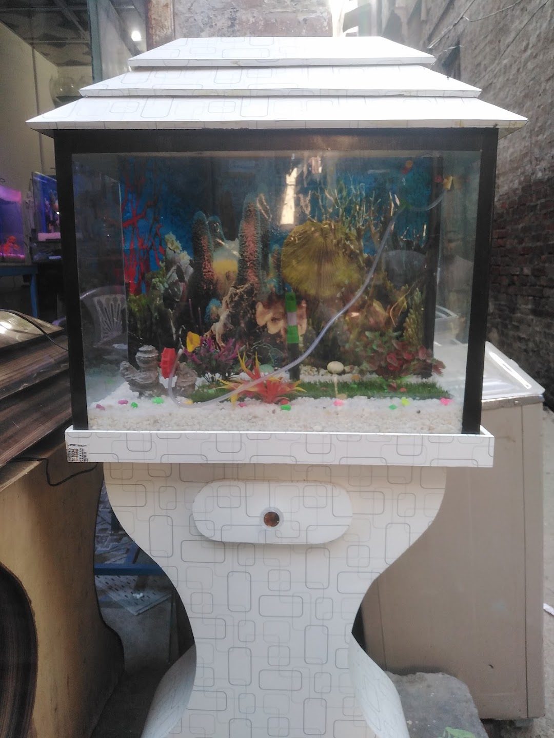 New passion fish aquarium center
