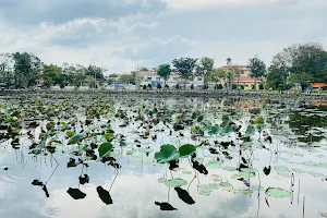 Hồ Sen image