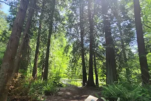 Eagle Scout Interpretive Nature Trail image