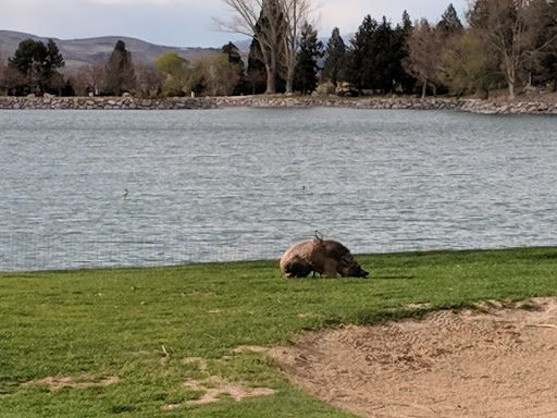 Golf Course «Lakeridge Golf Course», reviews and photos, 1218 Golf Club Dr, Reno, NV 89519, USA