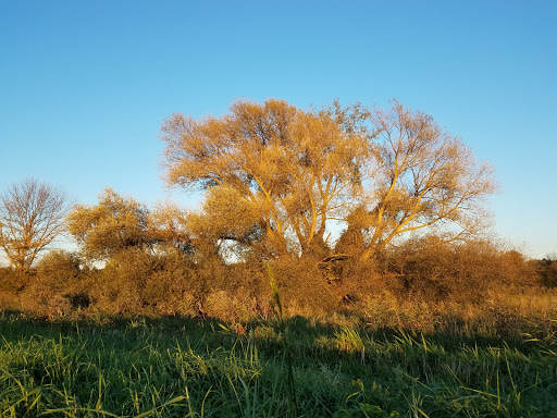 National Reserve «Montezuma National Wildlife Refuge», reviews and photos, 3395 US-20, Seneca Falls, NY 13148, USA