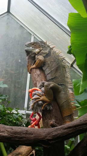 Zoo «3 Palms Zoo & Education Center», reviews and photos, 924 Blackbird Forest Rd, Clayton, DE 19938, USA