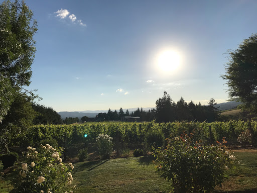 Vineyard «Archer Vineyard, Winery & Tasting Room», reviews and photos, 32230 NE Old Parrett Mountain Rd, Newberg, OR 97132, USA