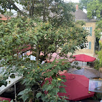 Photo n°8 de l'avis de Arnd.o fait le 24/08/2023 à 10:31 sur le  Weinhotel Weinstube Wolf à Harxheim