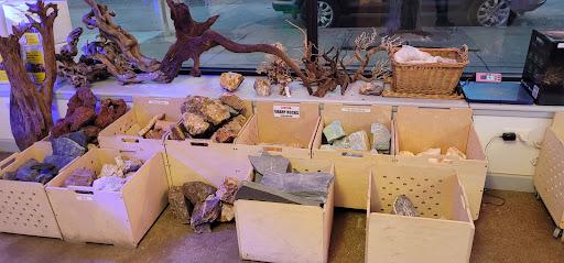 Tropical Fish Store «Old Town Aquarium», reviews and photos, 1538 N Wells St, Chicago, IL 60610, USA