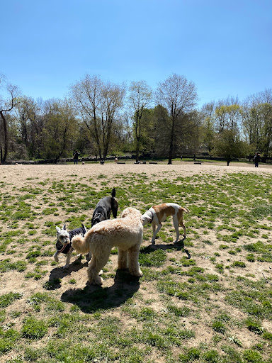Park «Paws Place Dog Park», reviews and photos, Broadfield Rd, New Rochelle, NY 10804, USA