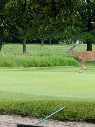 Country Club «Ives Hill Country Club», reviews and photos, 435 W Flower Ave, Watertown, NY 13601, USA