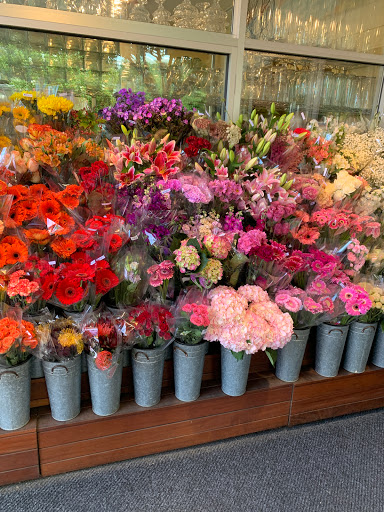 Gourmet Grocery Store «Metropolitan Market Magnolia», reviews and photos, 3830 34th Ave W, Seattle, WA 98199, USA