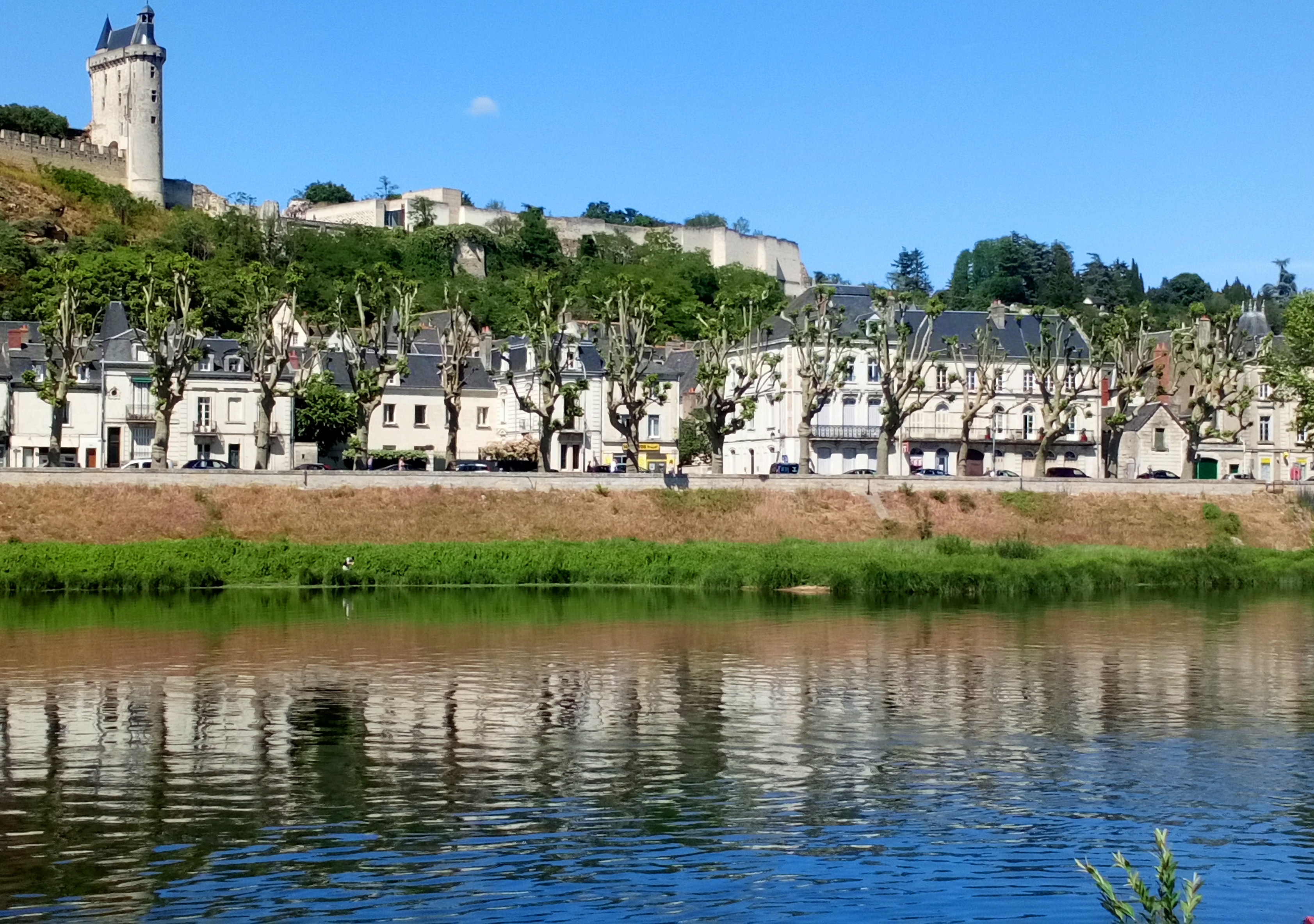 Photo n° 19 de l'avis de nounours.e fait le 31/05/2019 à 17:16