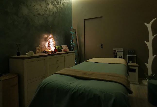 Отзиви за Massage Sofia - Padmalaya | Падмалая Център за Масажи София в София - Масажен терапевт