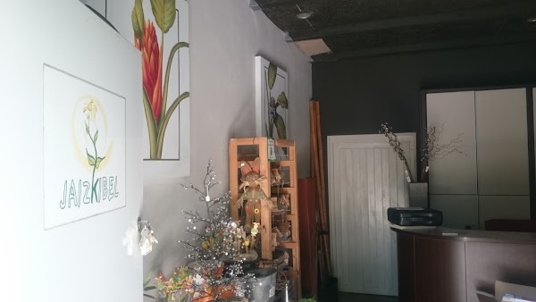 Vivero Jaizkibel Haztegia