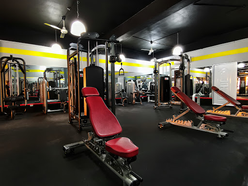 Willpower Bayahibe Fitness Studio
