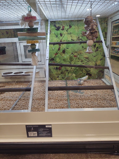 Pet Supply Store «PetSmart», reviews and photos, 466 S Watson Rd, Buckeye, AZ 85326, USA