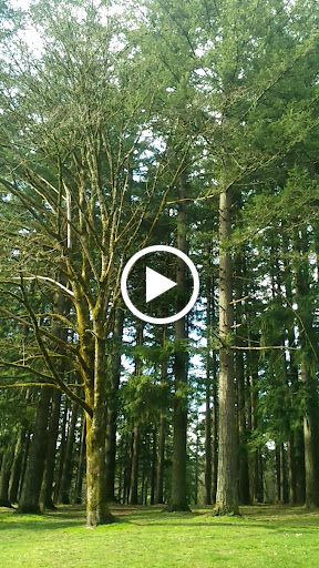 Park «Albert Kelly Park», reviews and photos, SW Dosch Rd & SW Mitchell St, Portland, OR 97239, USA