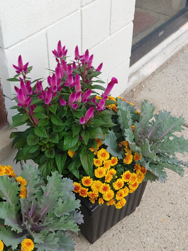 Florist «Flower Peddler», reviews and photos, 38350 Garfield Rd, Charter Twp of Clinton, MI 48038, USA