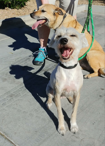 Pet Supply Store «PetSmart», reviews and photos, 1140 W Elliot Rd, Tempe, AZ 85284, USA