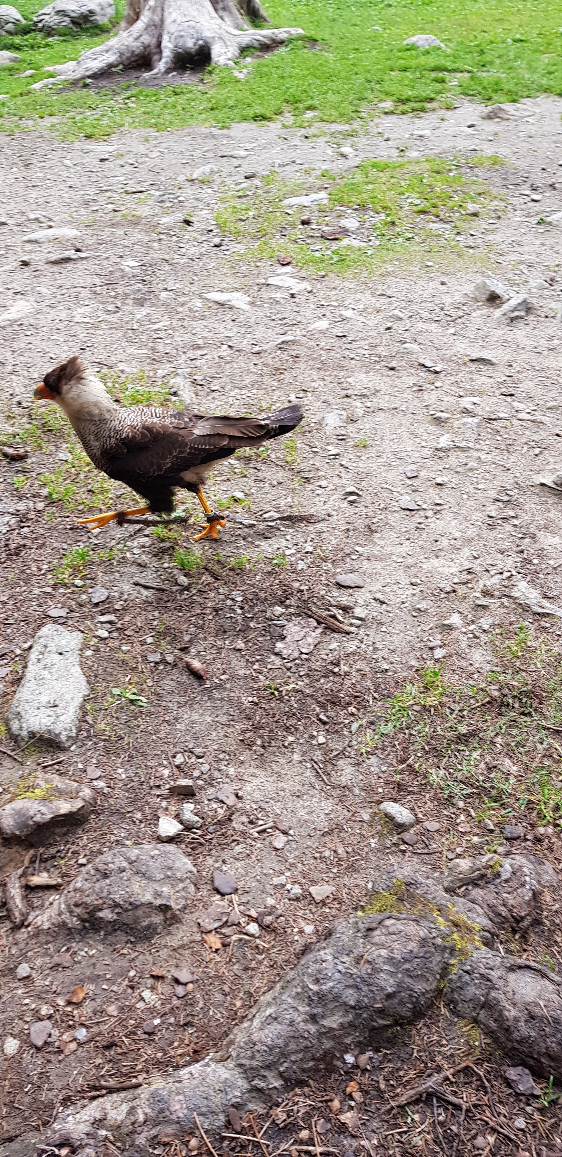 Photo n° 1 de l'avis de Pauline.r fait le 31/08/2019 à 16:42
