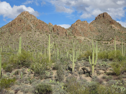 Scenic spot Tucson