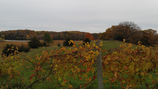 Orchard «Deardorff Orchards», reviews and photos, 8282 Parley Lake Rd, Waconia, MN 55387, USA