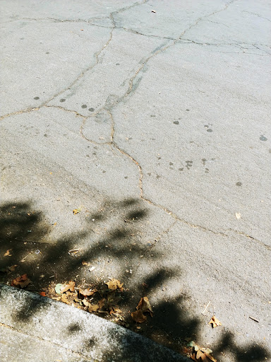 Beauty Supply Store «Mid-K Beauty Supply», reviews and photos, 5408 NE M L King Blvd, Portland, OR 97211, USA