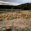 New River Corn Maze