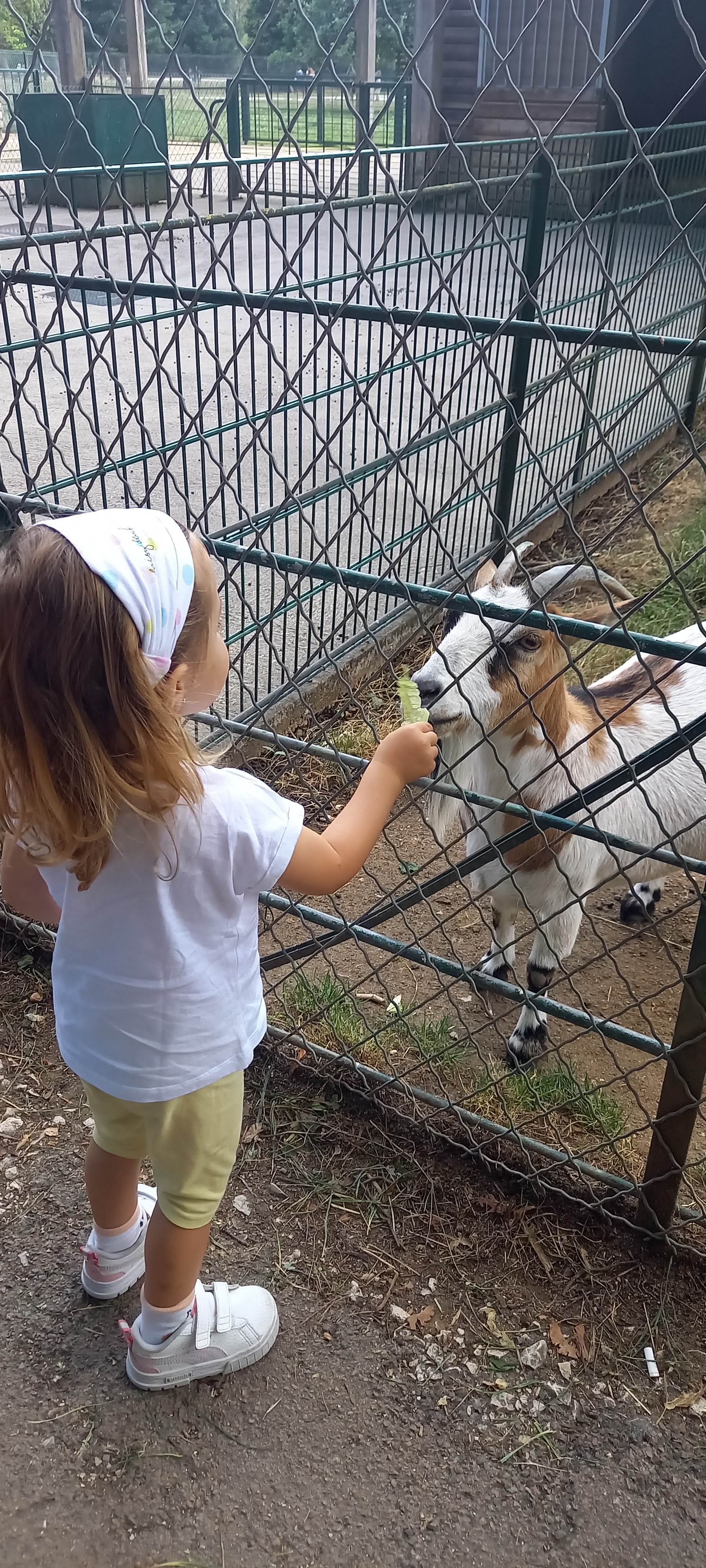 Photo n° 1 de l'avis de Patricia. fait le 19/07/2023 à 20:45