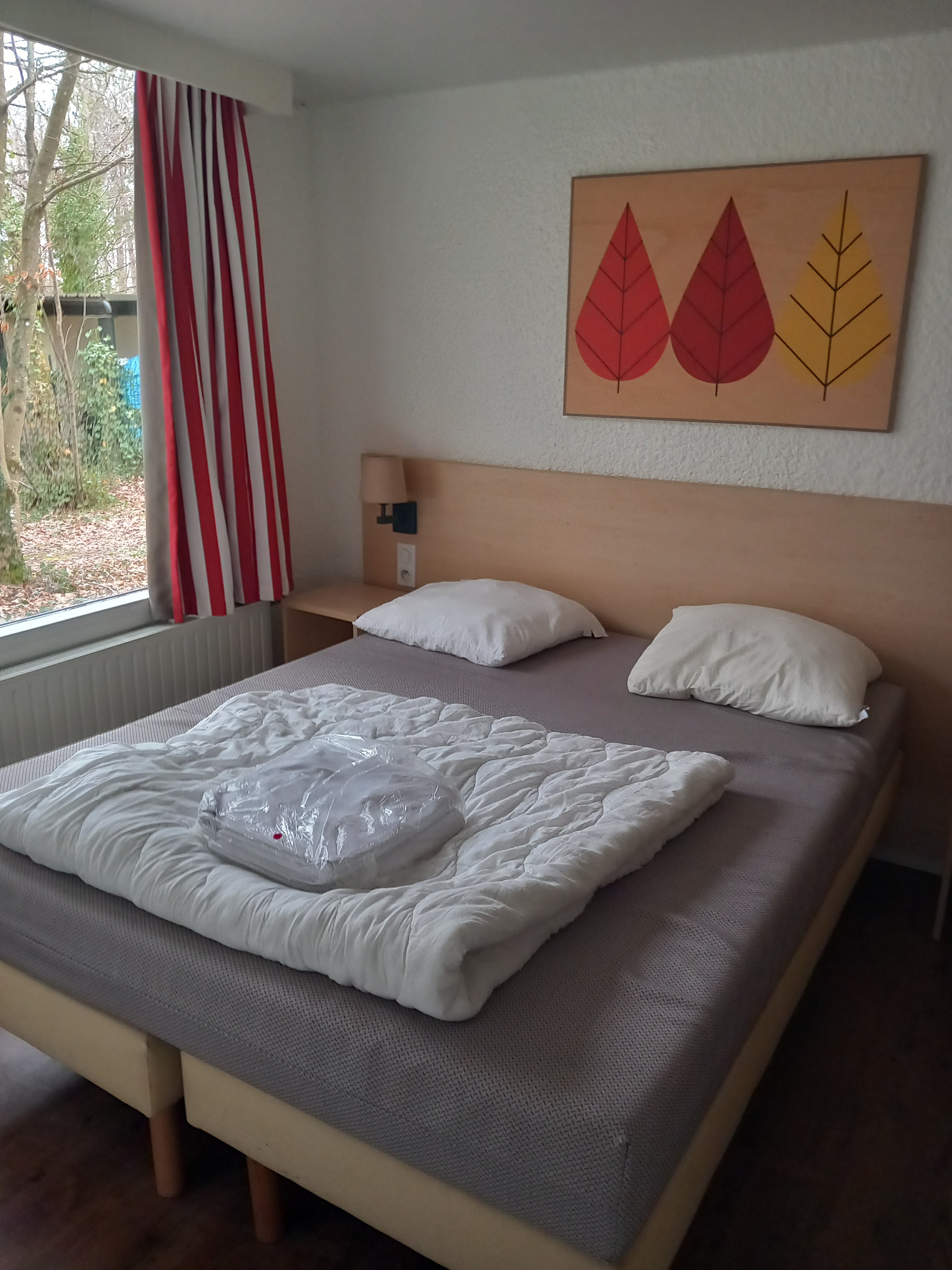 Photo n° 13 de l'avis de Marie.a fait le 24/02/2024 à 11:52