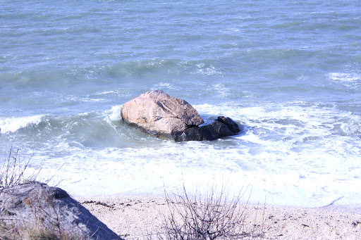 Winery «Kontokosta Winery», reviews and photos, 825 North Rd, Greenport, NY 11944, USA