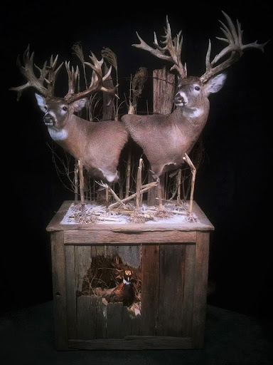 HighPoint Taxidermy And Outfutters, 14860 OH-13, Thornville, OH 43076, USA, 