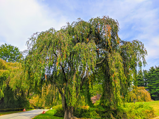 Park «Hart`s Brook Park and Preserve», reviews and photos, 156 Ridge Rd, Hartsdale, NY 10530, USA