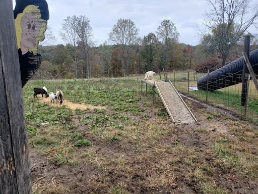 Farm «Bottom View Farm», reviews and photos, 185 Wilkerson Ln, Portland, TN 37148, USA