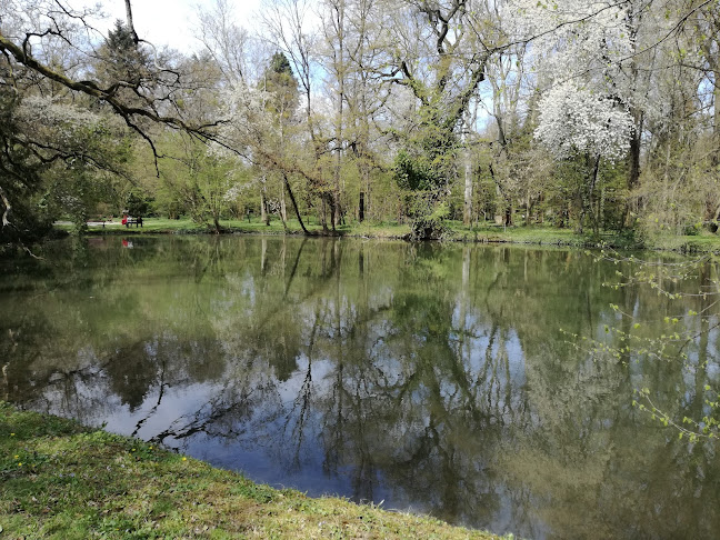 Értékelések erről a helyről: Sárvári Arborétum, Sárvár - Egyetem