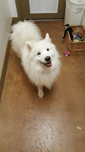 Pet Store «For Healthy Pets!», reviews and photos, 5165 Atlanta Hwy, Montgomery, AL 36109, USA