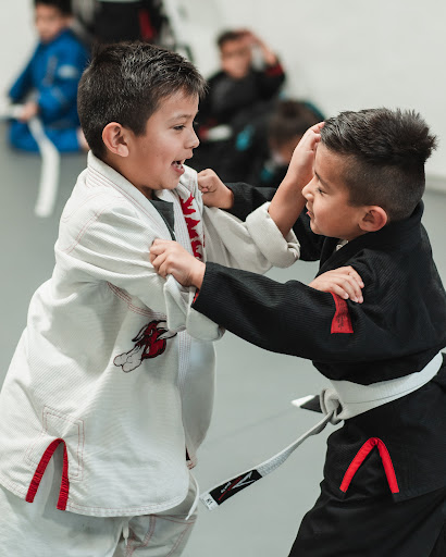 Martial Arts School «Phenom Brazilian Jiu-Jitsu & Mixed Martial Arts», reviews and photos, 15230 San Fernando Mission Blvd b104, Mission Hills, CA 91345, USA